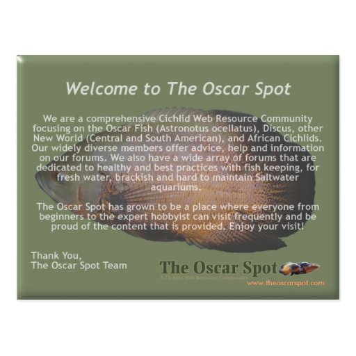 Mission Statement Post Card