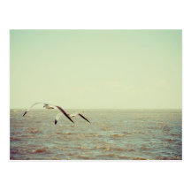 Mississippi Gulf Coast Postcards