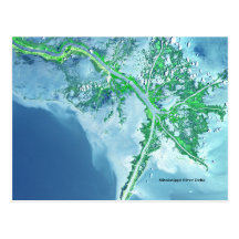 Mississippi River Delta Satellite Postcard
