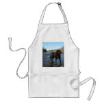 Mississippi river Dog on the Rocks Apron