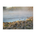 Mississippi river Duck Duck dawn postcards