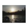 Mississippi river - Sunrise reflection Post Cards