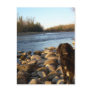 Mississppi river - Good Morning Postcard
