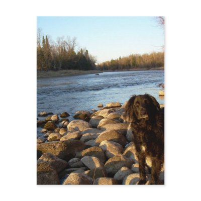 Mississppi river - Good Morning Postcard by NiftyMorning