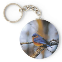 Missouris Bird key chain