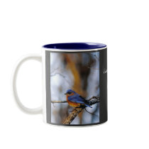 Missouris Eastern Bluebird. Mug