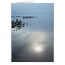 Mist in the Morn Greeting Cards