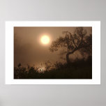 Mist Rise posters