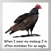 MISTAKEN FOR AN EAGLE PRINT