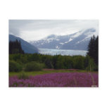 Misted Mendenhall Postcard