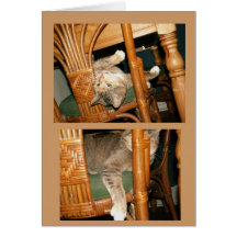 mister bokitty greeting card