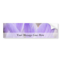 Misty Morning Crocuses Bumper Stickers