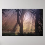 Misty Morning Light Print
