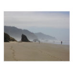 Misty Morning Postcards