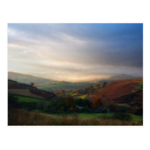 Misty Morning View Postcards