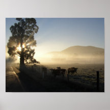 Misty Morning Yarra Valley Print