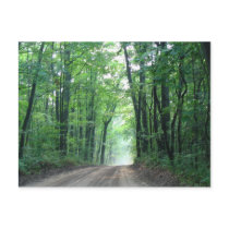 Misty Road Postcard