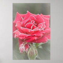 Misty Rose Print
