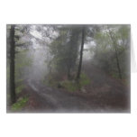 Misty Woods Greeting Cards