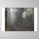 Misty Woods Posters