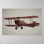 Mite de tigre de Havilland Posters