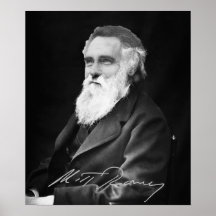 Mitt Romney  Evolution Posters