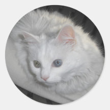 Mitties Stickers