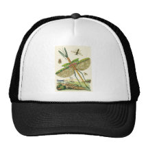 Mixed Bag O'Bugs Mesh Hat