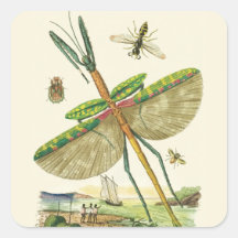 Mixed Bag O'Bugs Stickers
