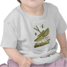 Mixed Bag O'Bugs Tees