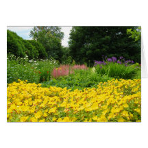 Mixed Garden Flowers Cards