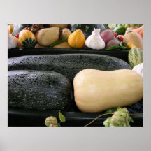Mixed marrows poster