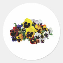 Mixed Pansies Stickers