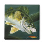 MN 2008 Knutson 413 high Fridge Magnets