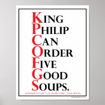 Mnemonic: King Philip = Species Identification Poster
