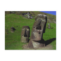 Moai on Easter Island (Rapa Nui) Postcard
