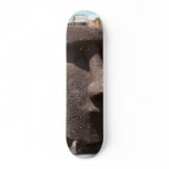 Moai Statue At The La Natural History Museum skateboards