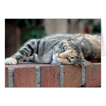 Mocha lover greeting card