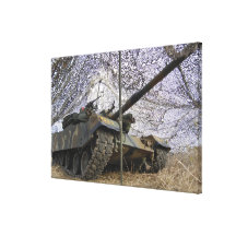 Mock aggressors from Republic of Korea Stretched Canvas Print