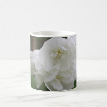 Mock Orange Philadelphus  Flower Mug