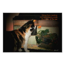 Mocking fish haiku photo