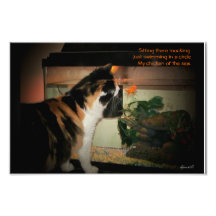 Mocking fish haiku photo art