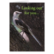 Mockingbird Greeting Card "Looking out for you..."