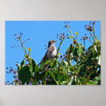 Mockingbird Poster