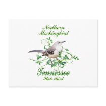 Mockingbird Tennessee State Bird Post Cards