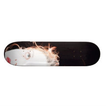 mod girl skateboard decks