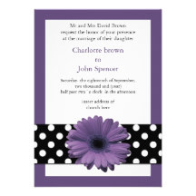 mod polka dots violet gerbera daisy announcement