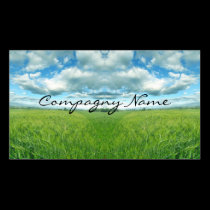 Model Sky card business cards