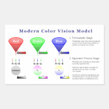 Modern Color Vision Model Diagram Stickers