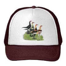 Modern Game Quartet Hat
